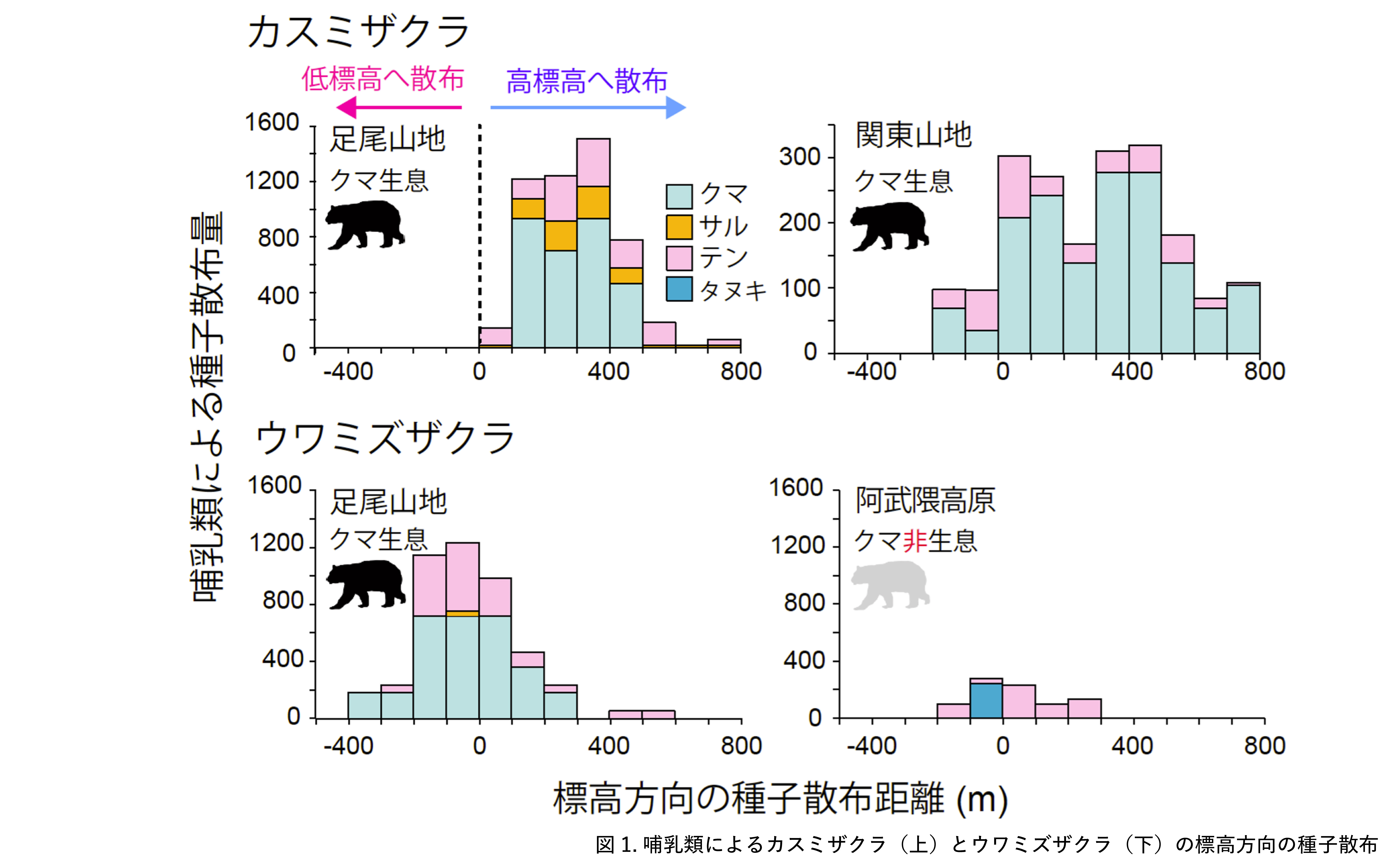 地球温暖化から逃避する樹木と哺乳類・鳥類との関係－野生のサクラの種子散布に果たすクマの役割－